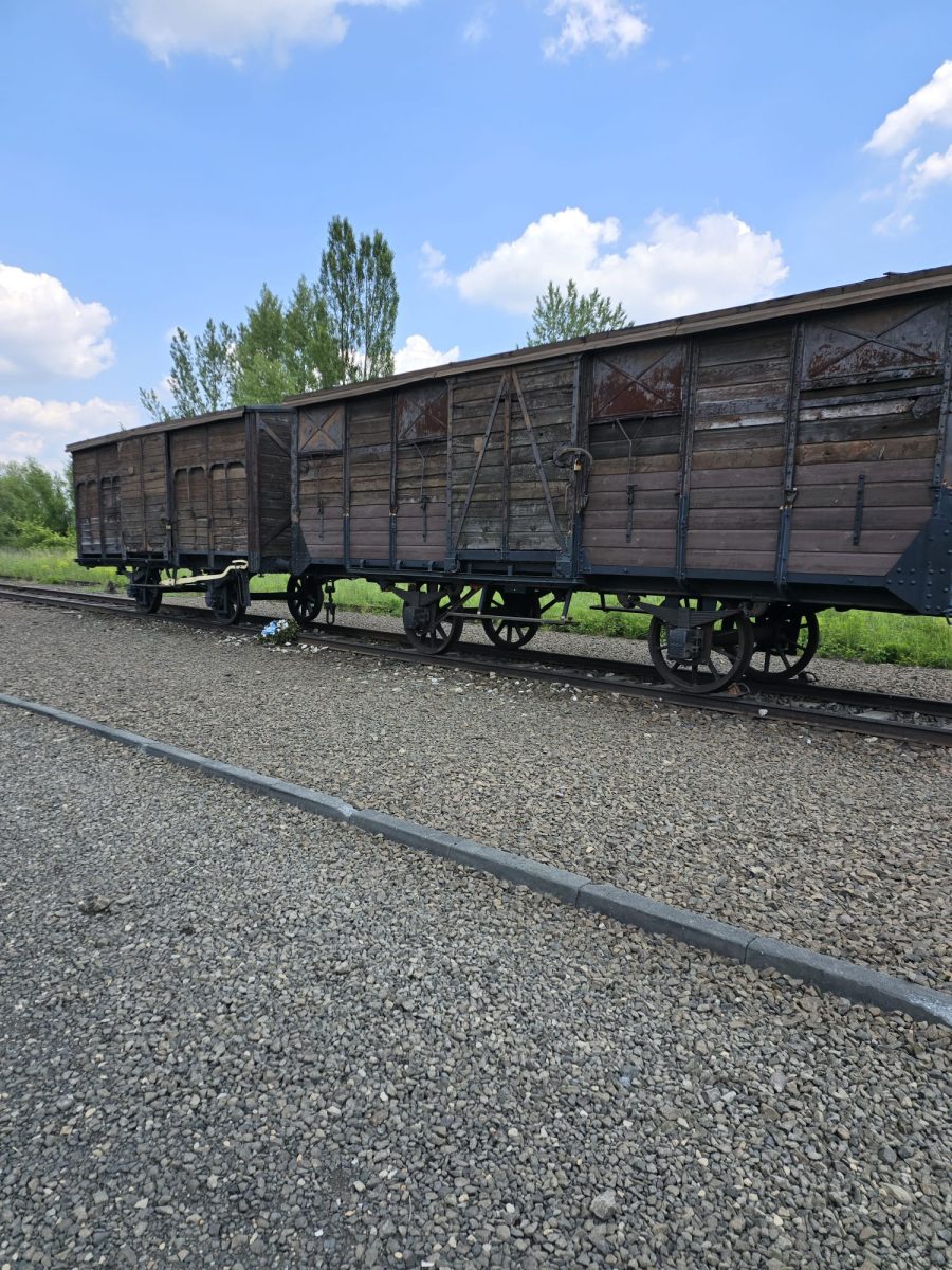 Waggon Birkenau
